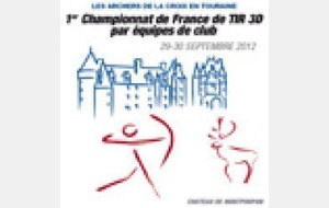 Championnat de France 3D par équipe de club